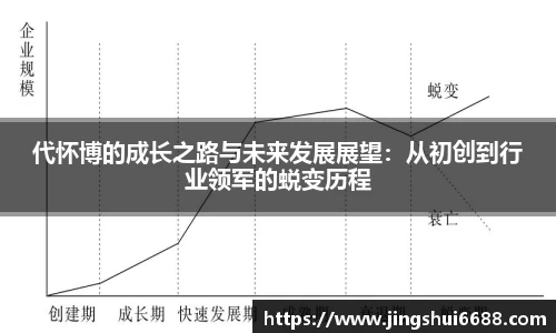 代怀博的成长之路与未来发展展望：从初创到行业领军的蜕变历程