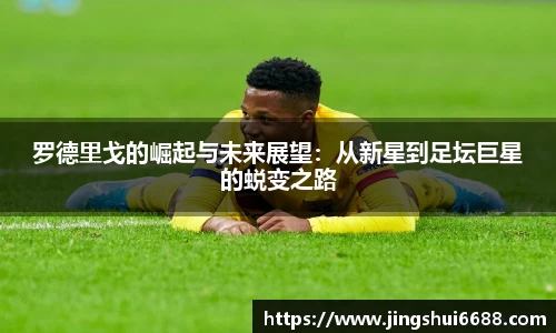 NG体育官网